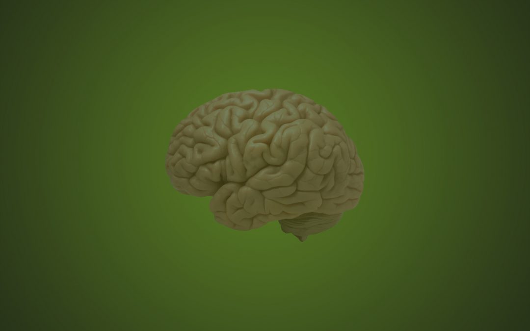 Concussion Rehab — Exercise After a Concussion