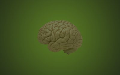 Concussion Rehab — Exercise After a Concussion