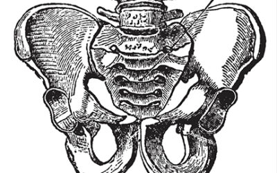 Pelvic Health for the Male Population