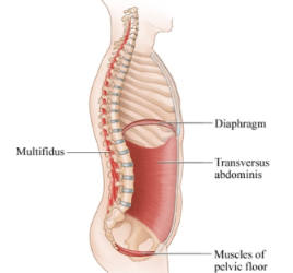 Managing Intra-Abdominal Pressure